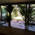 Mi An *