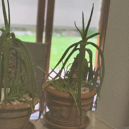 Apartman Mi An Paese