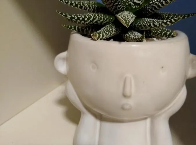 Apartament Mi An Paese