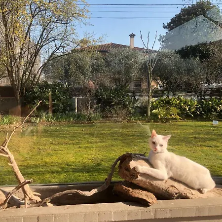Mi An