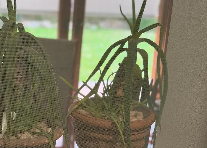 Appartement Mi An Paese