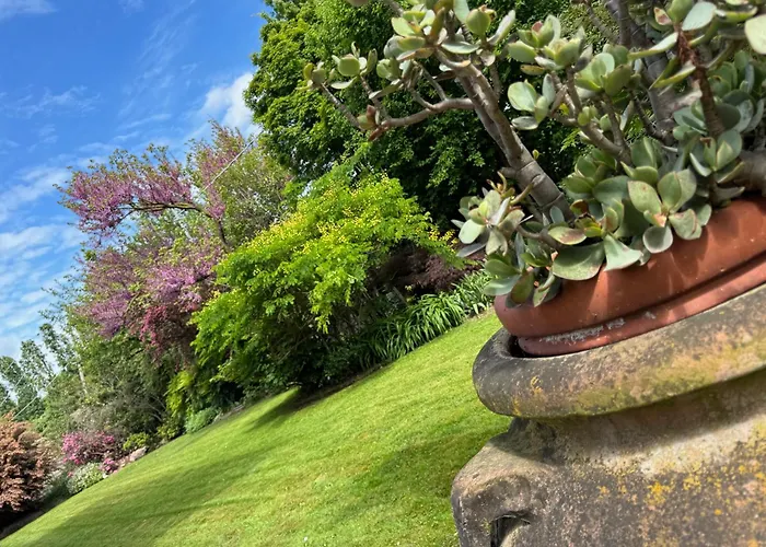 Appartement Mi An Paese